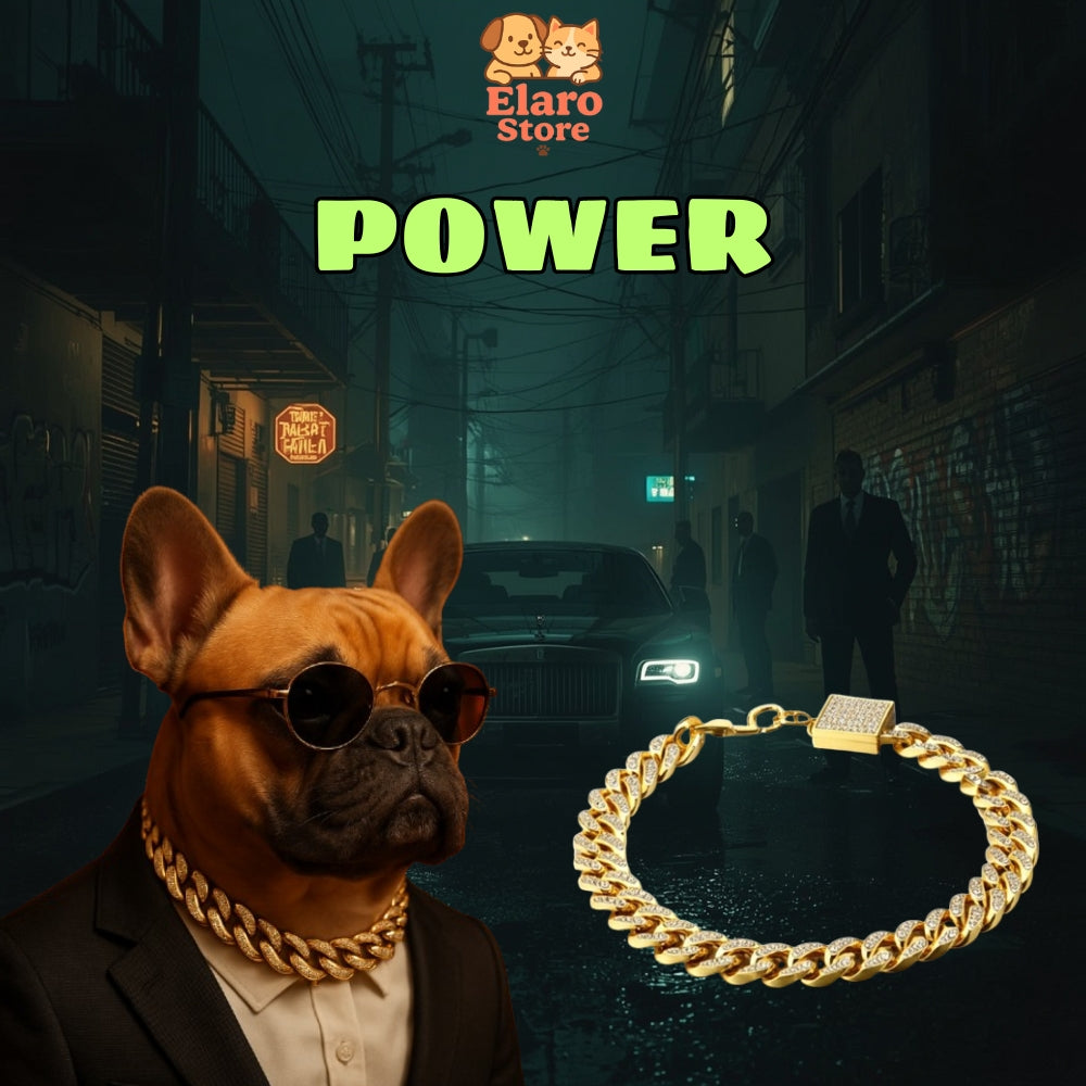 💎 Dog Chain Collar – Luxury Gold Pet Metal Chain