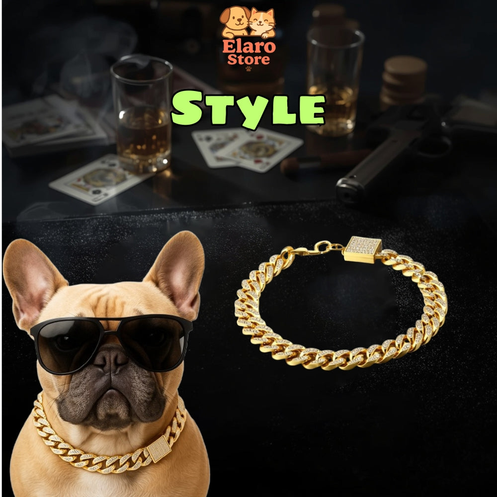 💎 Dog Chain Collar – Luxury Gold Pet Metal Chain