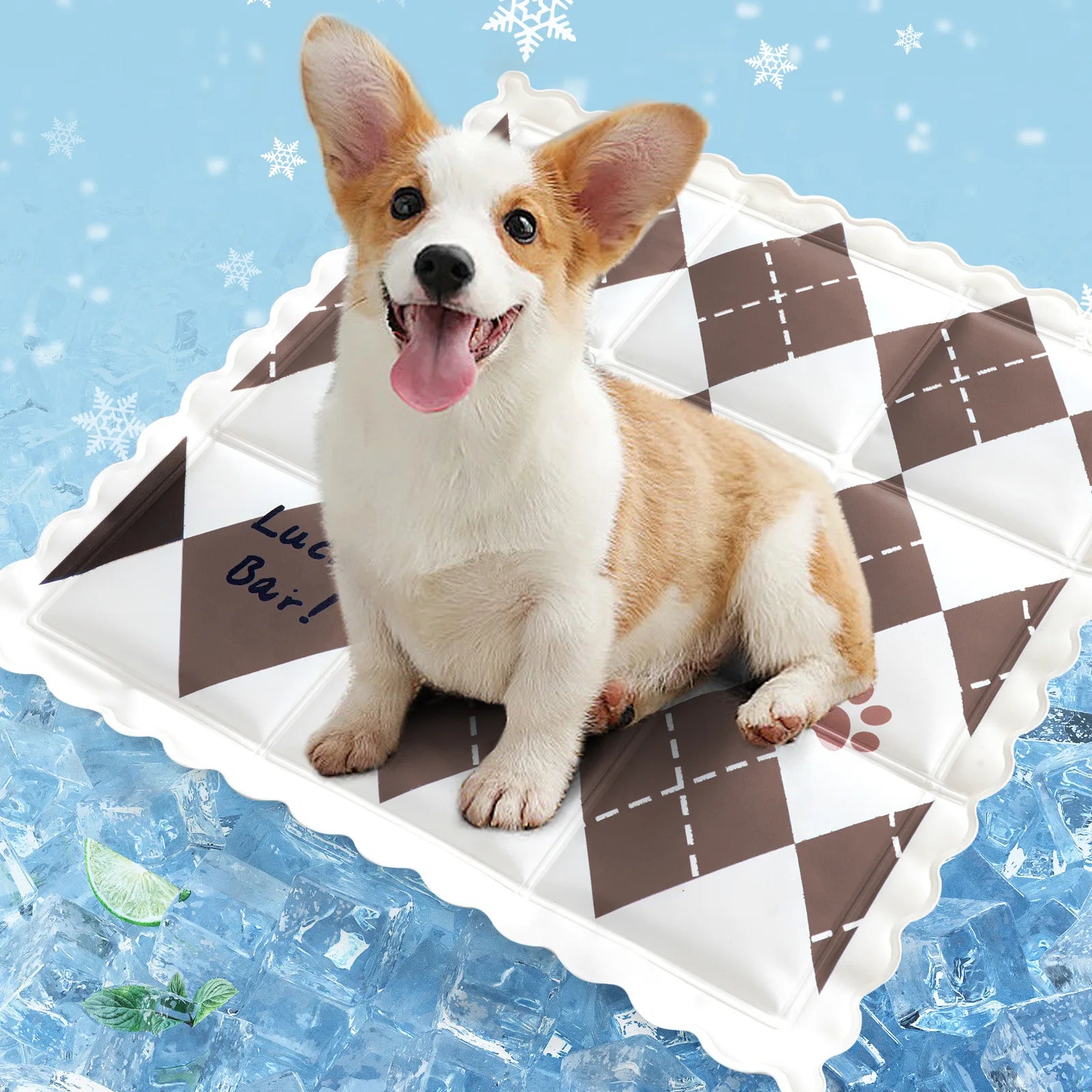 Summer Cool Dog Mat