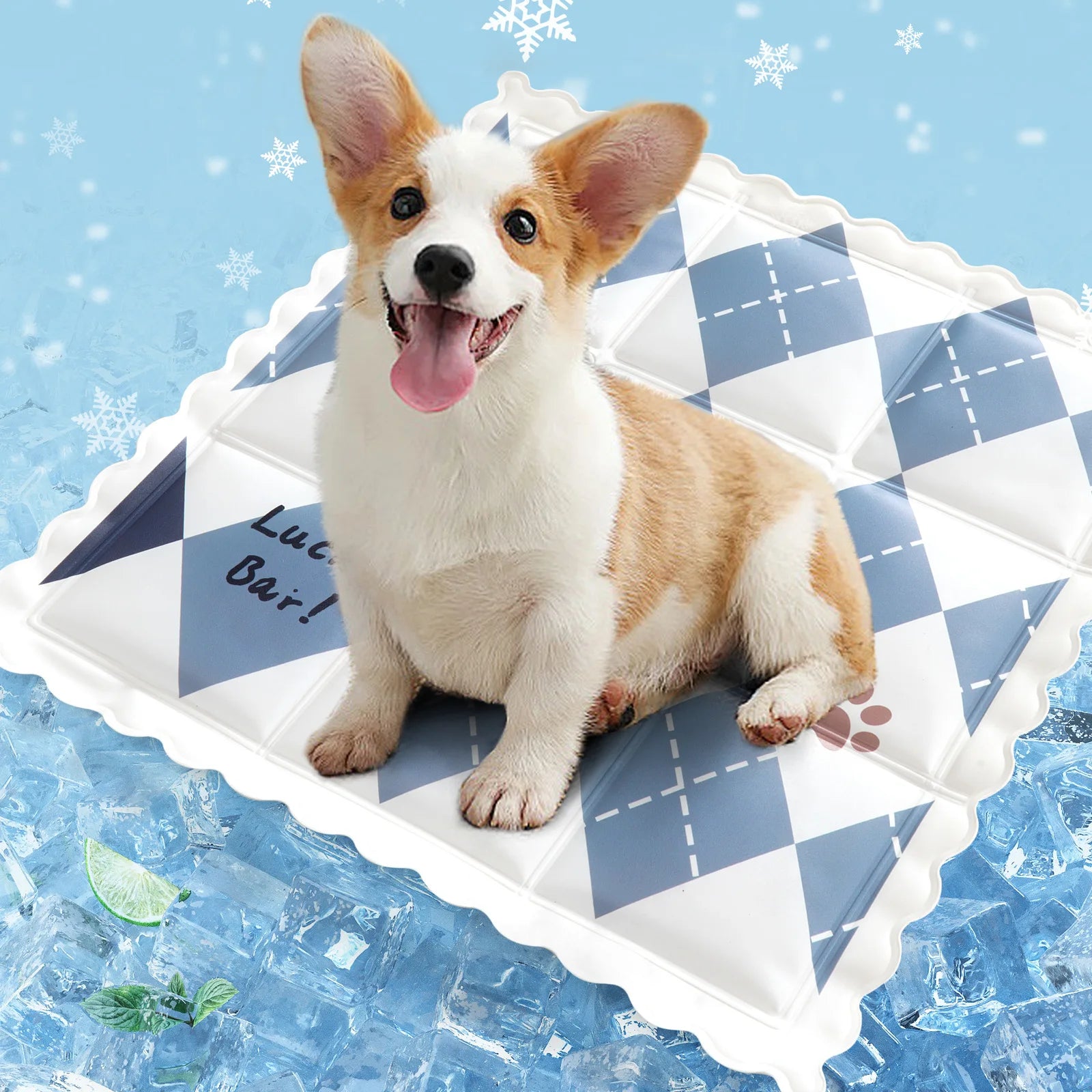 Summer Cool Dog Mat