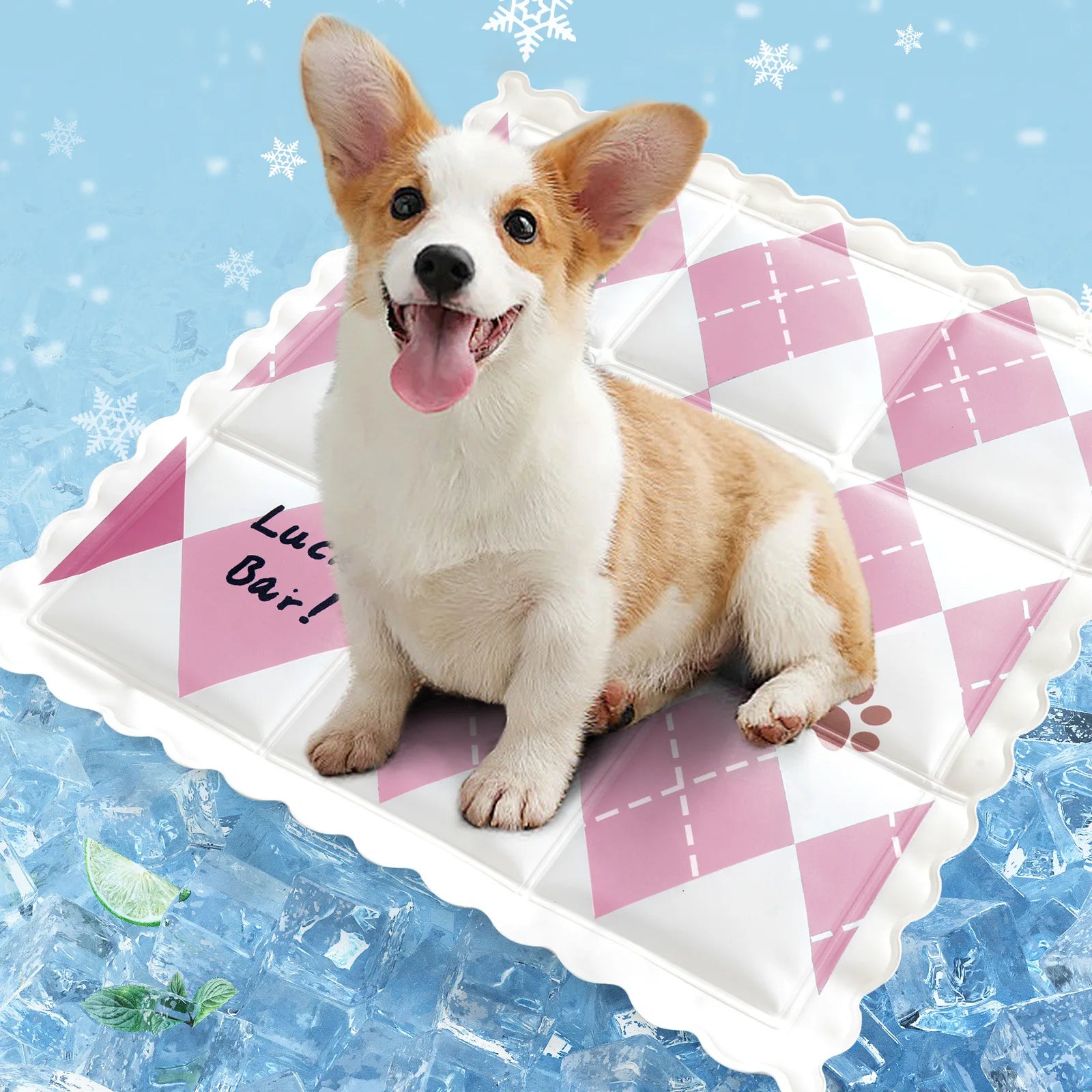 Summer Cool Dog Mat