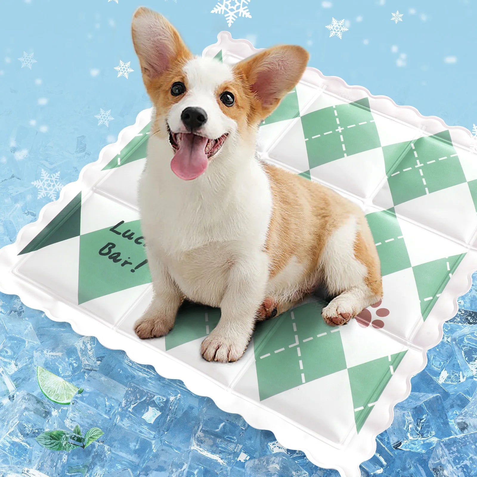 Summer Cool Dog Mat